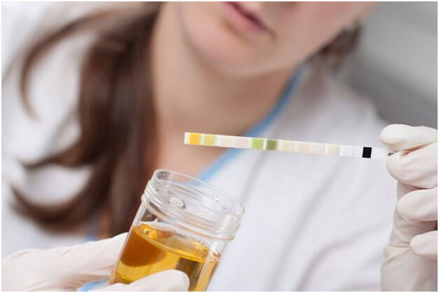 how to pass a urine drug test for thc