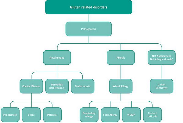 800px-Gluten-related_disorders
